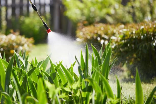 24/7 Emergency Termite Control experts in Gibbstown, NJ