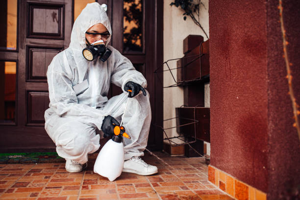 Reliable Termite Control contractor in Gibbstown, NJ by Nex Pest Control