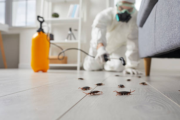 Trusted Termite Control service in Gibbstown, NJ - Nex Pest Control